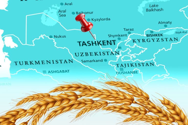 IAOM Avrasya, Taşkent'te tahıl kongresini açtı
