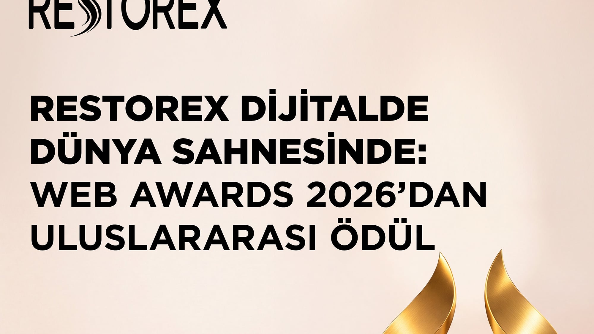 Restorex web sitesi WebAwards'ta ödül kazandı